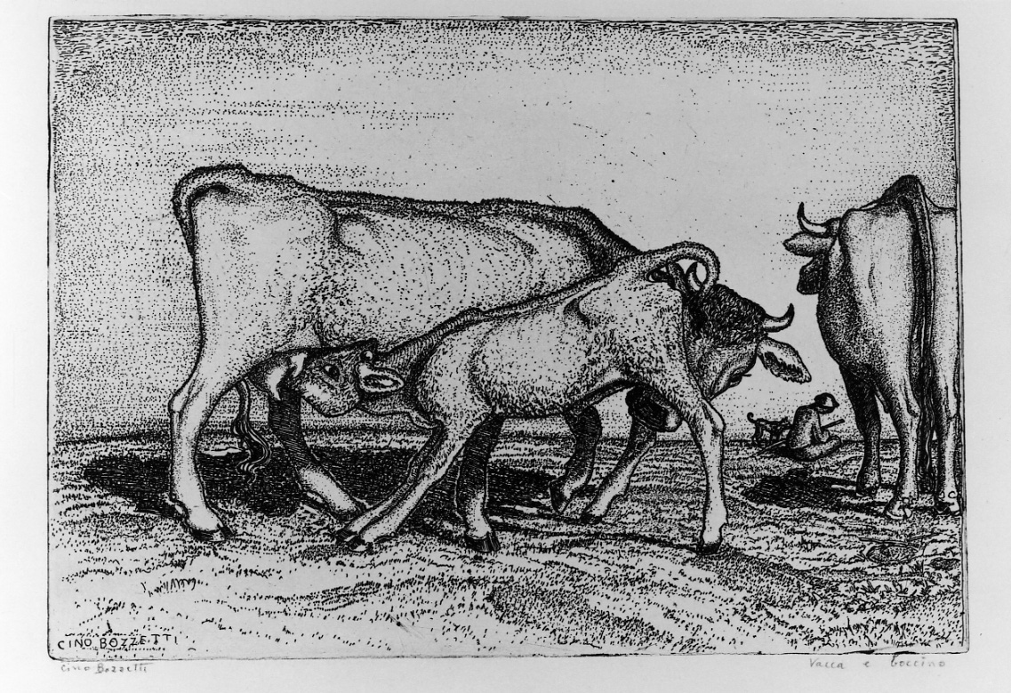 pastore al pascolo con mucche e vitello (stampa) di Bozzetti Francesco detto Cino Bozzetti (secondo quarto sec. XX)