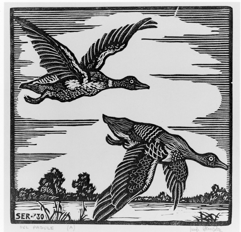 paesaggio lacustre con anatre in volo (stampa) di Servolini Luigi (secondo quarto sec. XX)