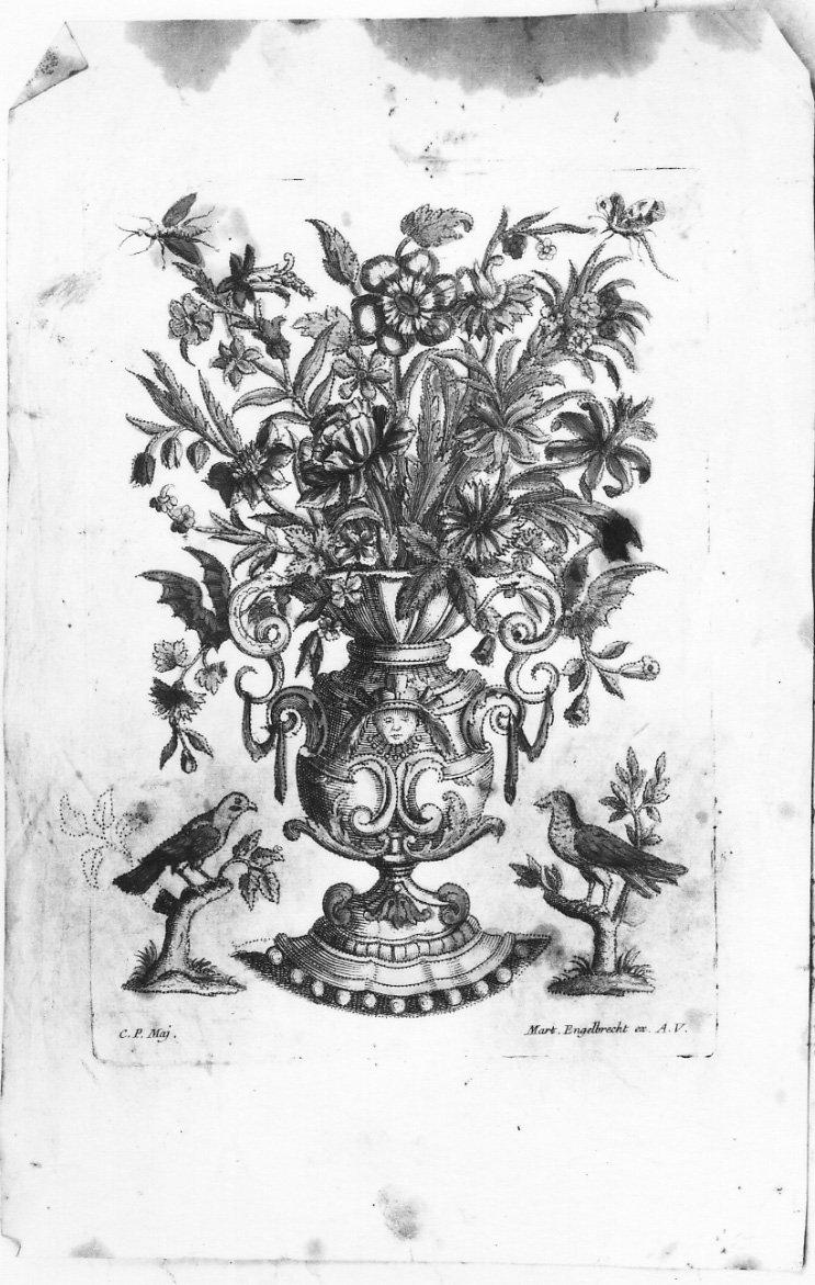 vaso con fiori e uccelli (stampa colorata a mano) di Engelbrecht Martin, Maj C. P (prima metà sec. XVIII)