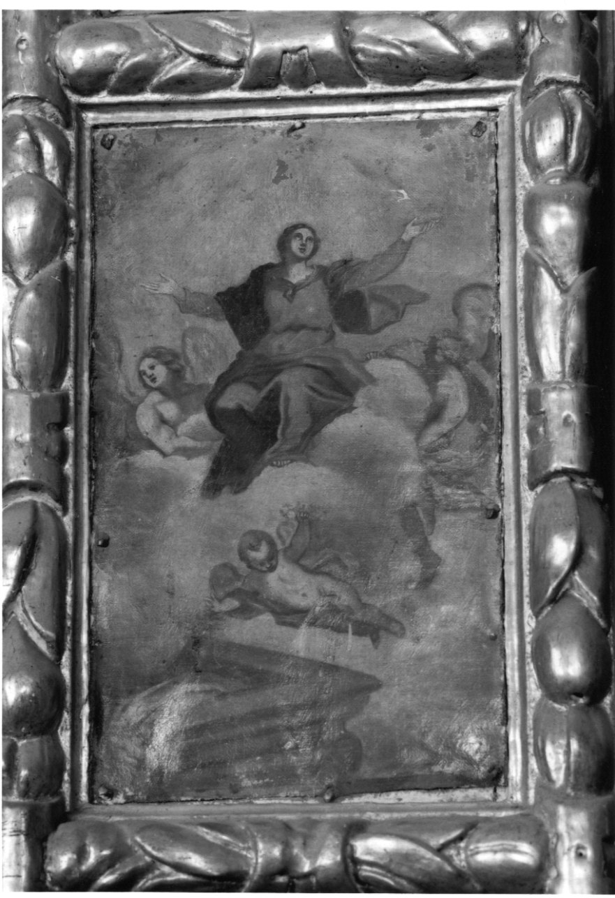 assunzione della Madonna (dipinto, elemento d'insieme) - ambito piemontese (fine/inizio secc. XVII/ XVIII)