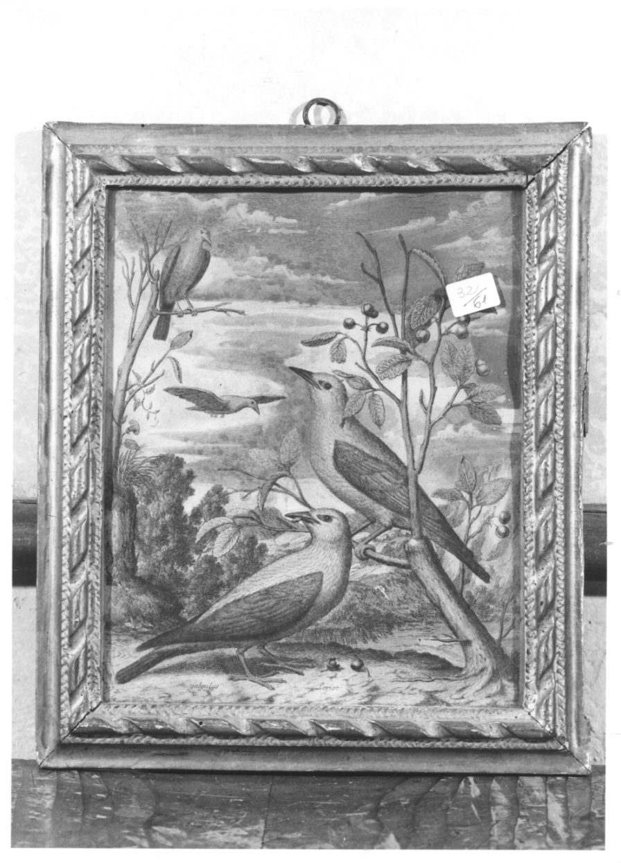 paesaggio con loricoli (stampa colorata a mano) - ambito francese (prima metà sec. XVIII)