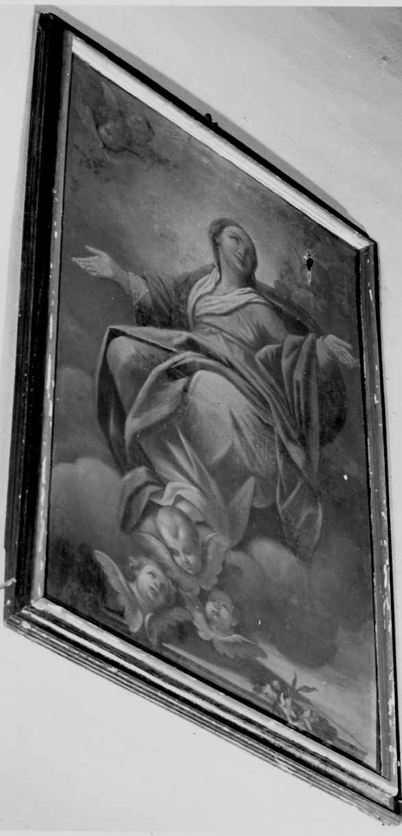 assunzione della Madonna (dipinto, opera isolata) - bottega novarese (seconda metà sec. XVII)