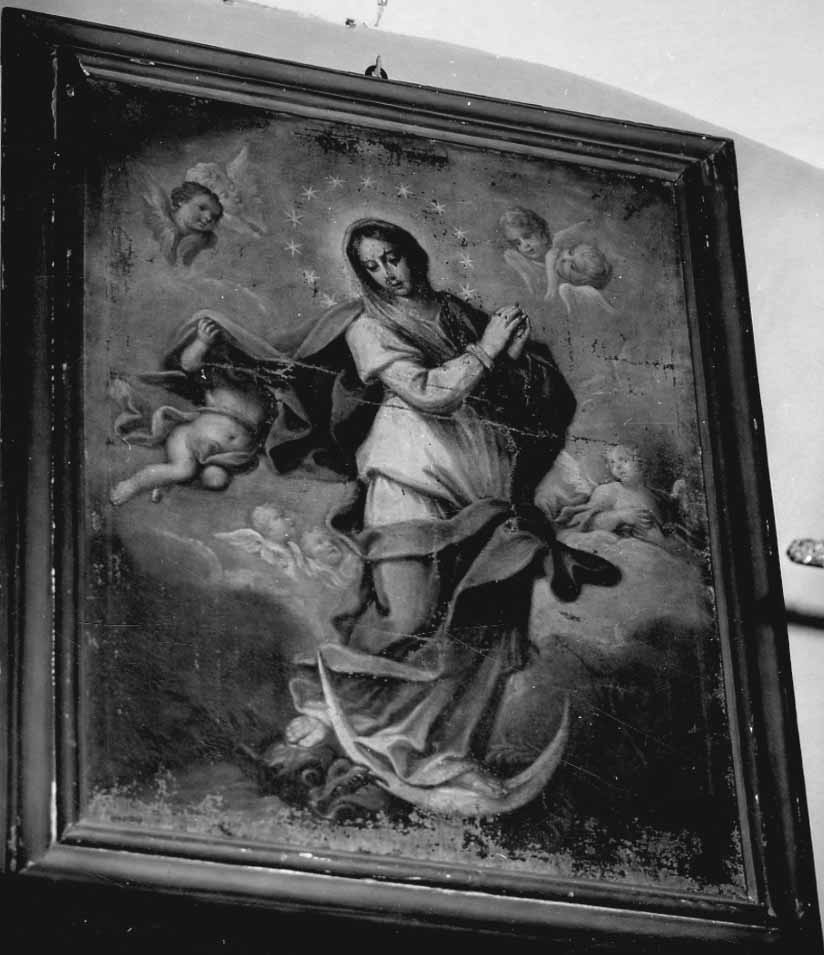 Immacolata Concezione (dipinto, opera isolata) - bottega novarese (prima metà sec. XVIII)