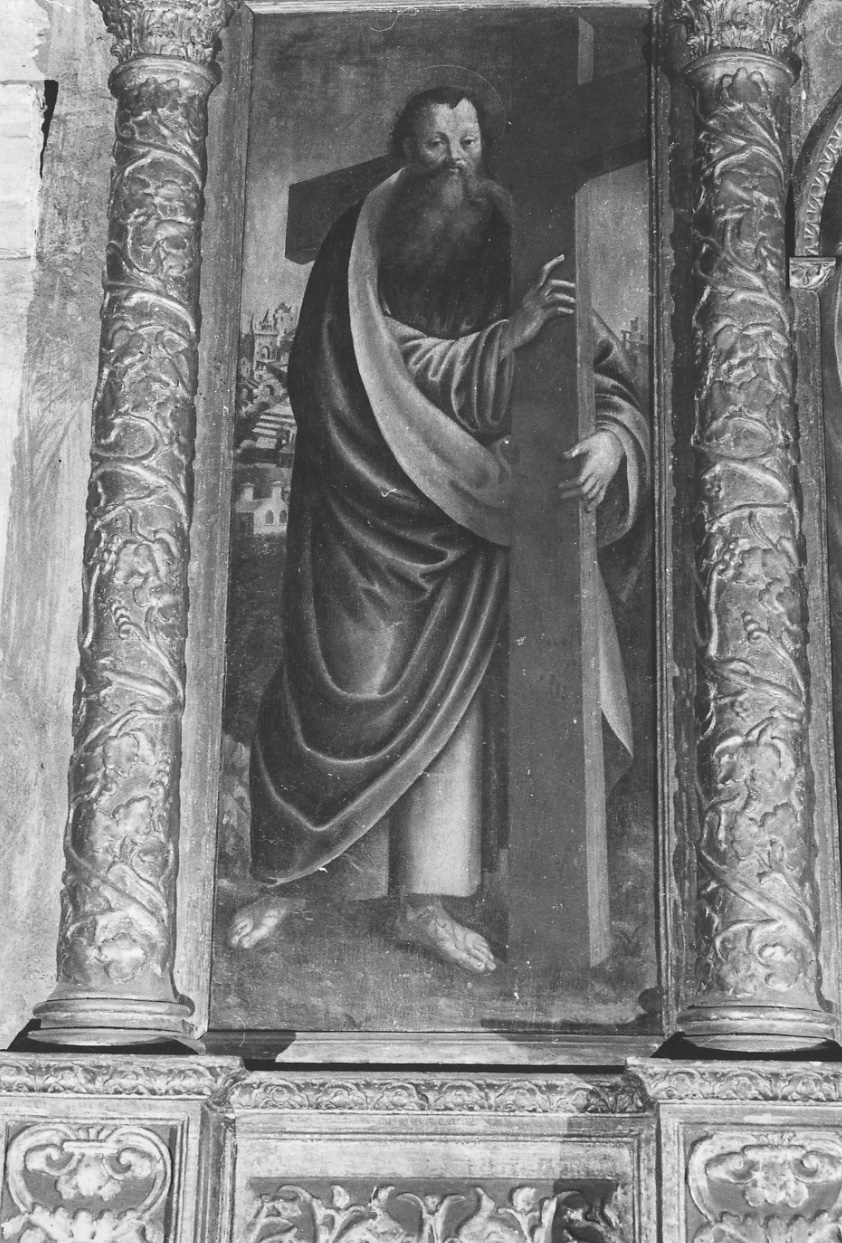 Sant'Andrea (dipinto, elemento d'insieme) di Varolti Girolamo, Rapa Giovanni, Canta Ludovico (terzo quarto sec. XVI)