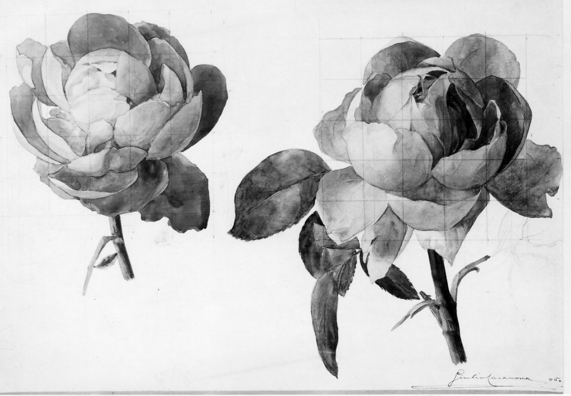 rose (disegno, opera isolata) di Casanova Giulio (sec. XX)
