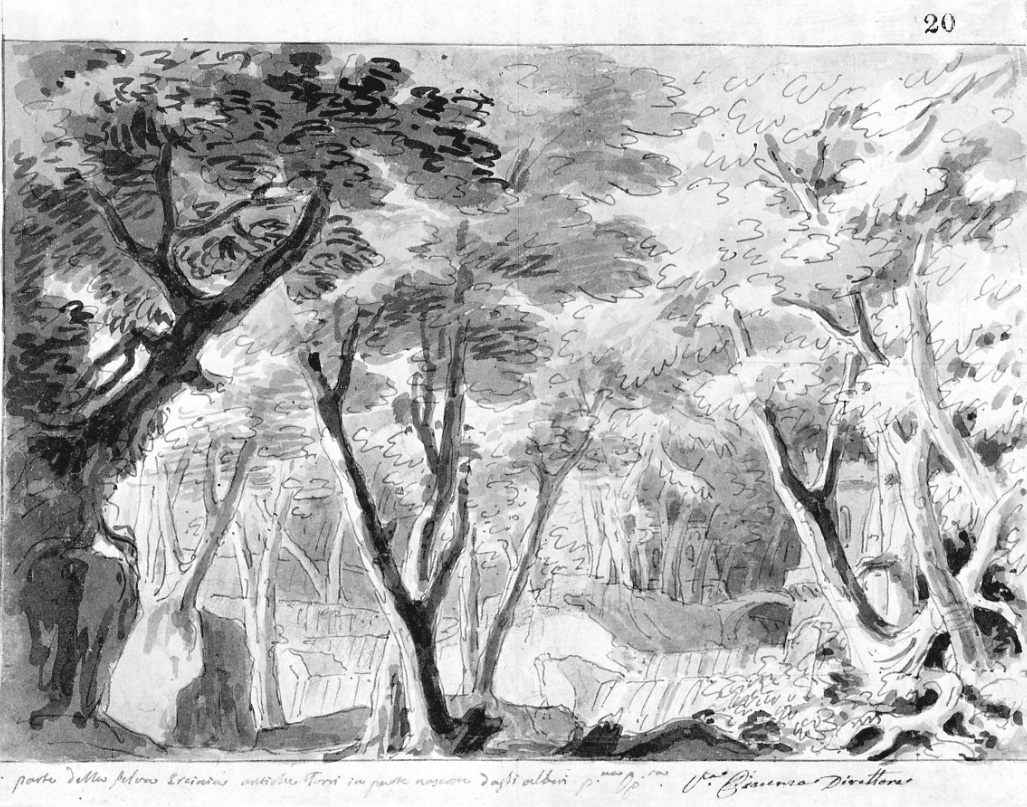 Parte della Selva Eromia, paesaggio con alberi (disegno, opera isolata) di Vacca Luigi (primo quarto sec. XIX)