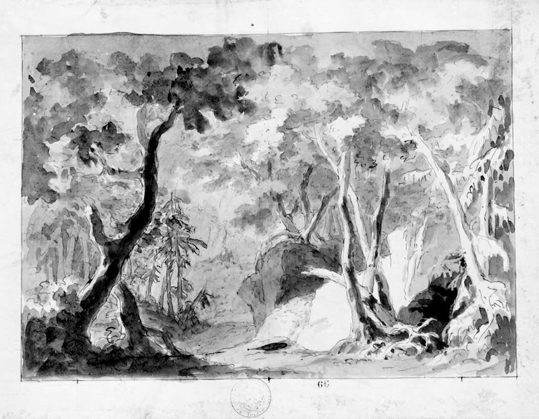 Folto bosco, paesaggio con alberi (disegno, opera isolata) di Vacca Luigi (prima metà sec. XIX)
