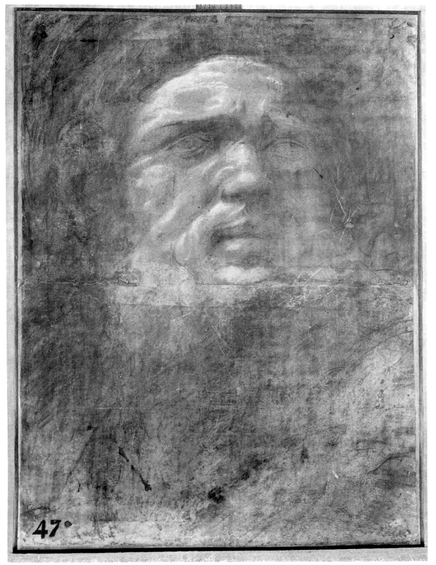 testa d'uomo con barba (disegno, opera isolata) di Lomazzo Giovan Paolo (attribuito) (terzo quarto sec. XVI)