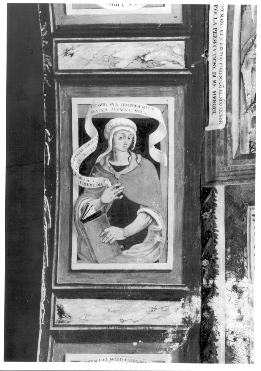 Sibilla Tiburtina (dipinto, elemento d'insieme) di Giacomo da Cardone (metà sec. XVI)