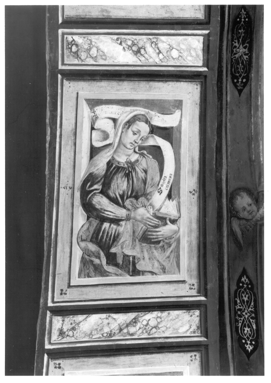 Sibilla Cumana (dipinto, elemento d'insieme) di Giacomo da Cardone (metà sec. XVI)