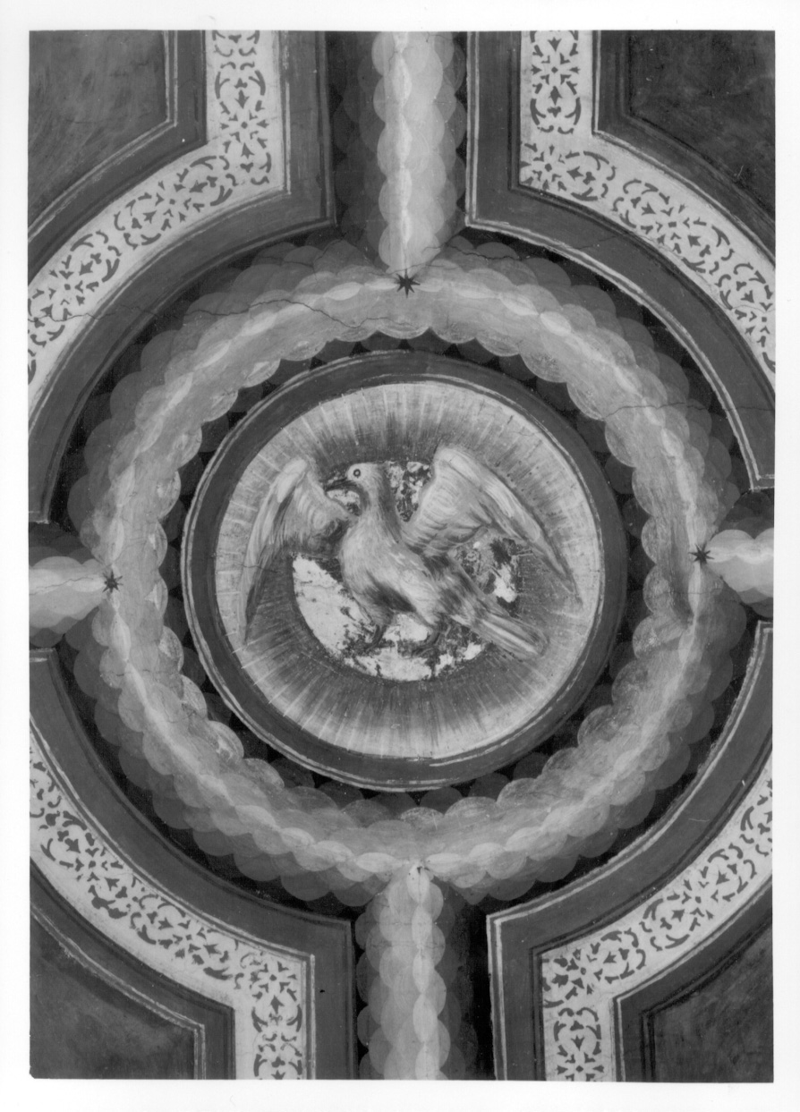 colomba (dipinto, elemento d'insieme) di Zanetti Antonio detto Bugnate (metà sec. XVI)