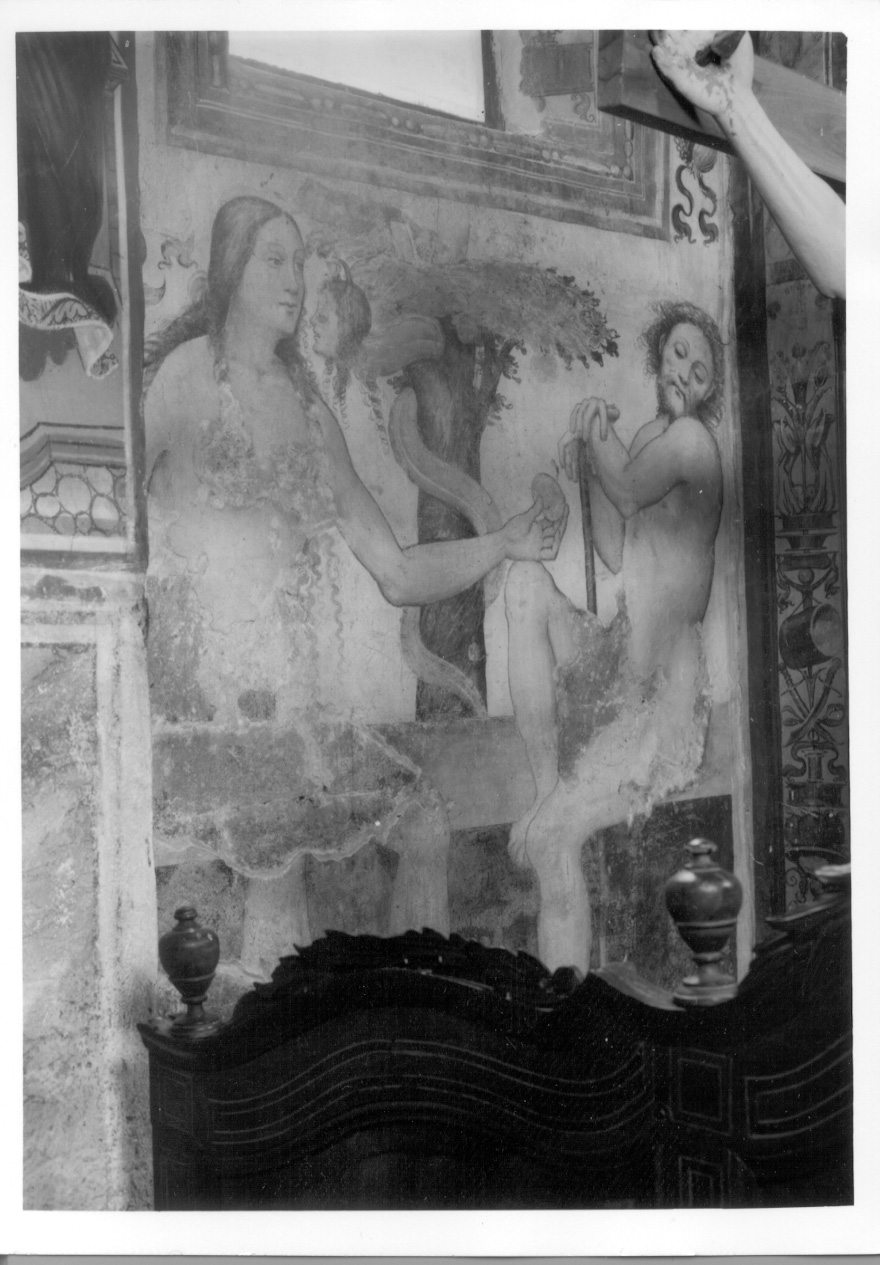 tentazione e caduta di Adamo e Eva (dipinto, opera isolata) di Zanetti Antonio detto Bugnate (metà sec. XVI)