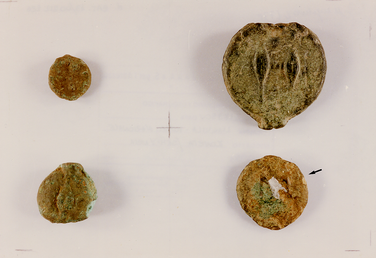 moneta - semuncia - ambito Italia centrale (sec. III a.C)