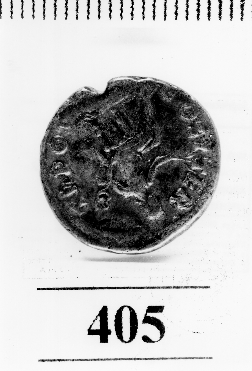 moneta - denario (sec. I d.C)