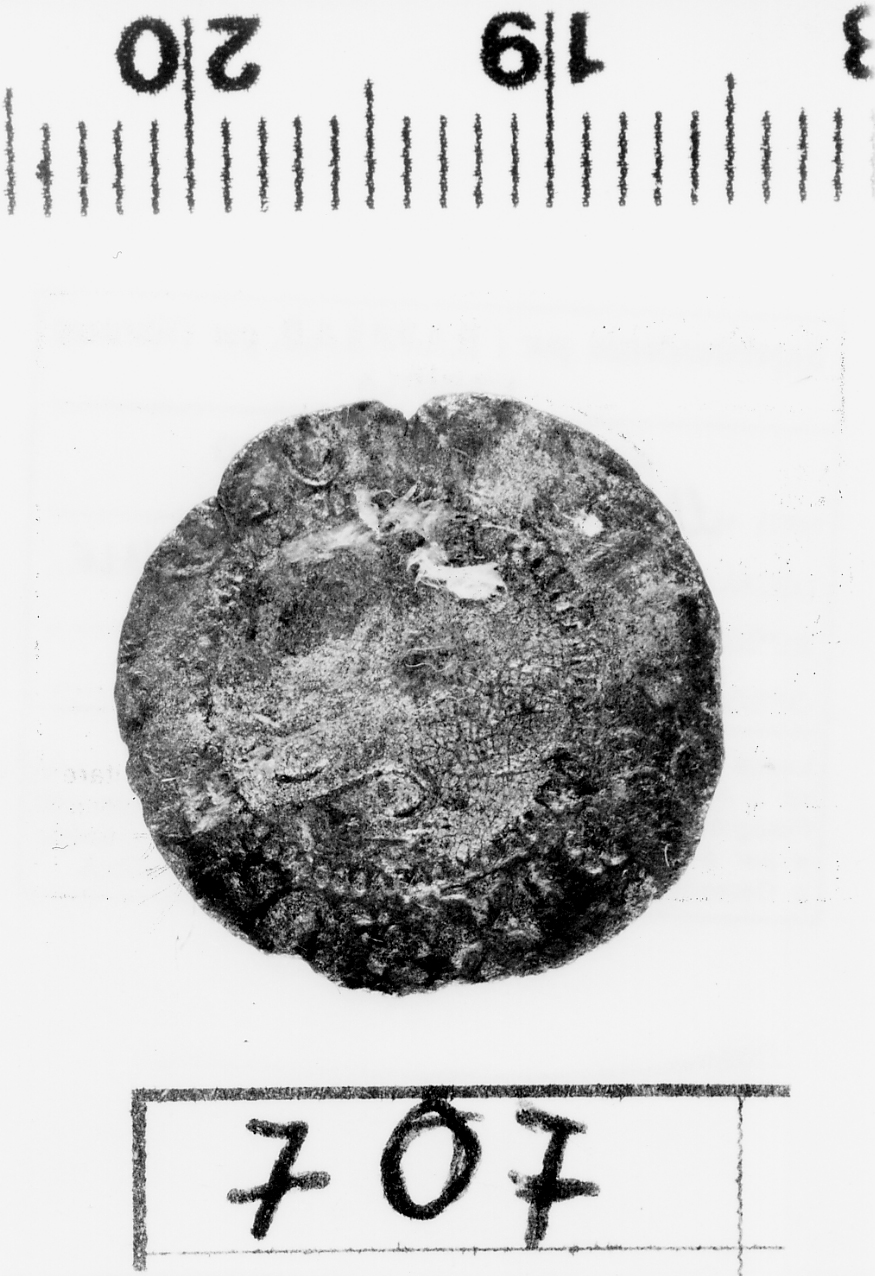 moneta - quattrino (sec. XV d.C)