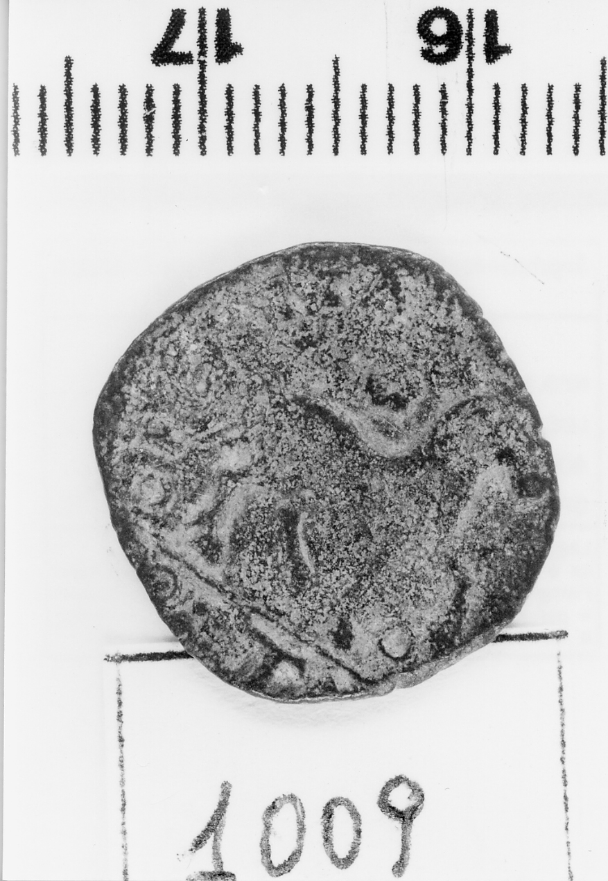 moneta - cavallo (sec. XV d.C)