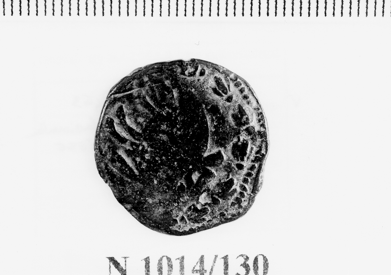 moneta - tornese (seconda metà secc. XVI/ XVII d.C)