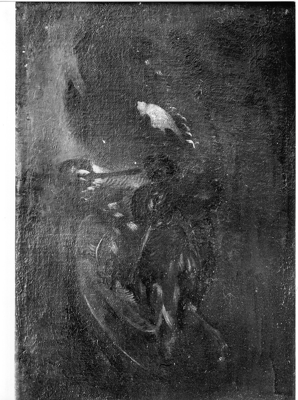 natura morta con cacciagione (dipinto) - ambito Italia centrale (fine/inizio secc. XVII/ XVIII)