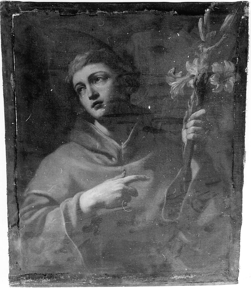 Sant'Antonio da Padova (dipinto) - ambito Italia centrale (sec. XVIII)
