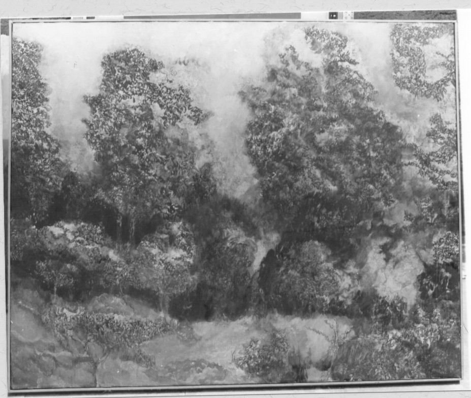 Il bosco di noci (dipinto) di Carroll Robert (sec. XX)