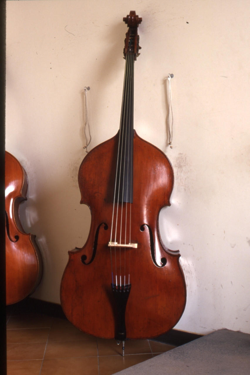 contrabbasso di Mougenot Georges (sec. XIX)