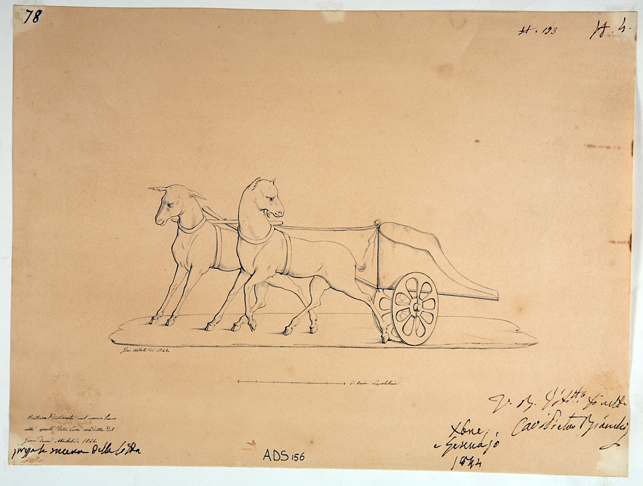 biga di Artemide (disegno) di Abbate Giuseppe (secondo quarto sec. XIX)