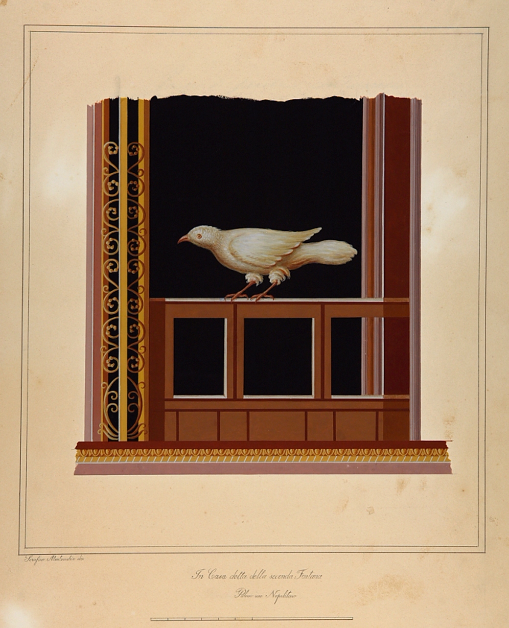 colombo su balaustra (disegno) di Mastracchio Serafino (metà sec. XIX)