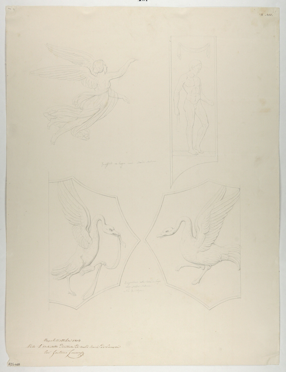figura femminile in volo, atleta, cigni (disegno) di La Volpe Nicola (terzo quarto sec. XIX)