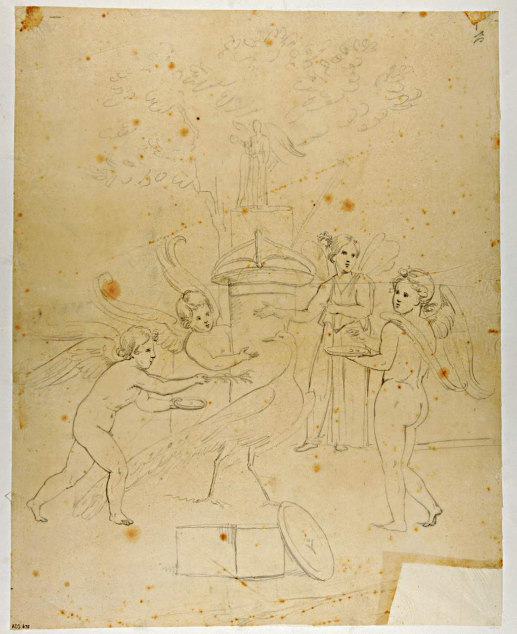 amorini con pavone e Psyke (disegno) di Marsigli Giuseppe (secondo quarto sec. XIX)