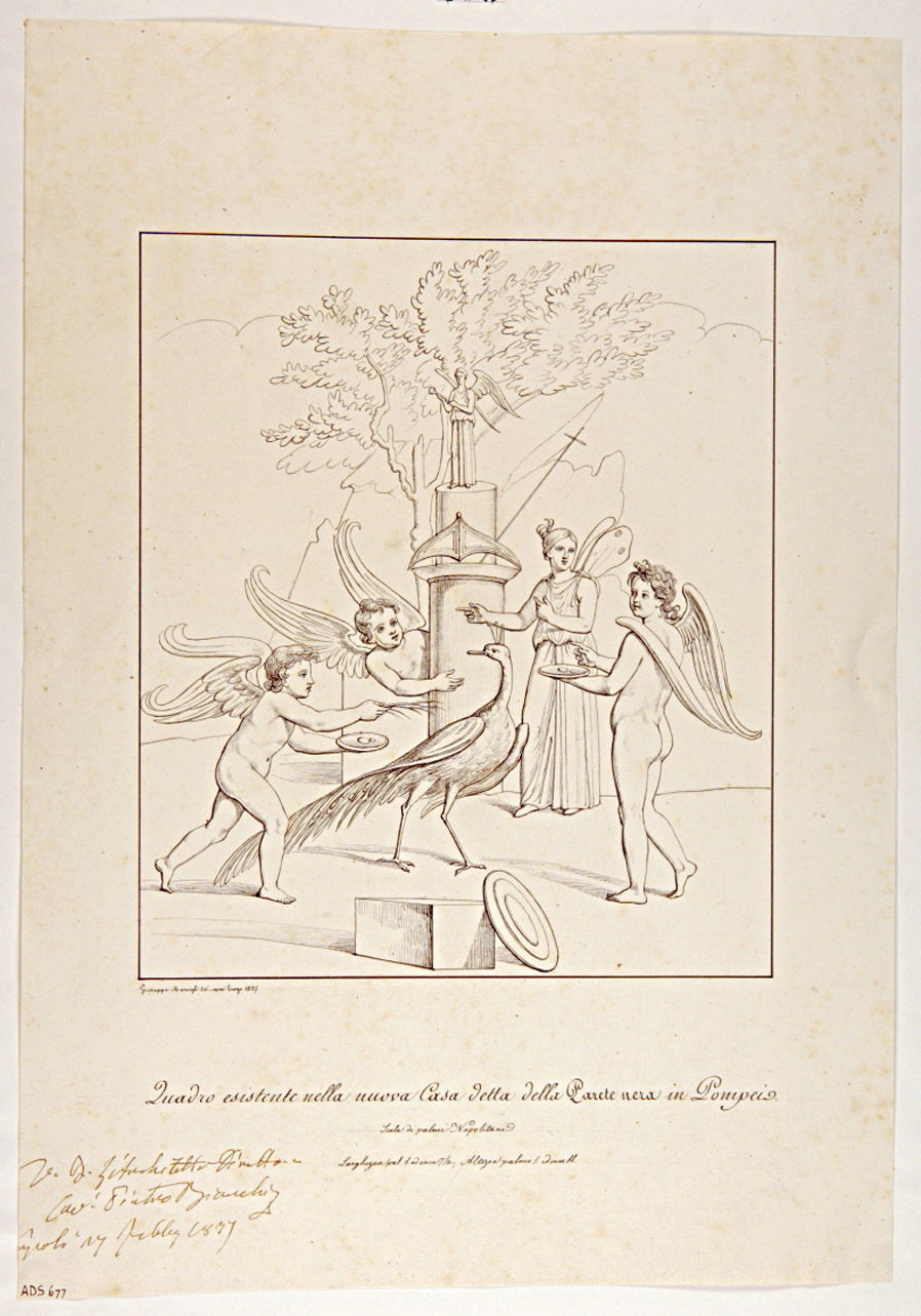 amorini con pavone e Psyke (disegno) di Marsigli Giuseppe (secondo quarto sec. XIX)