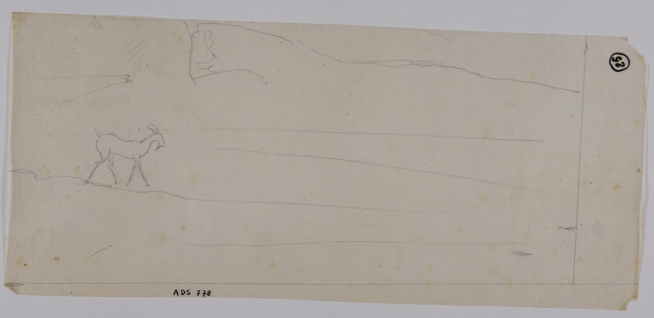 capra (disegno) - ambito napoletano (seconda metà sec. XIX)