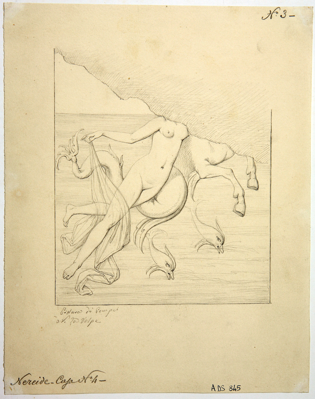 Nereide su animale marino (disegno) di La Volpe Nicola (seconda metà sec. XIX)