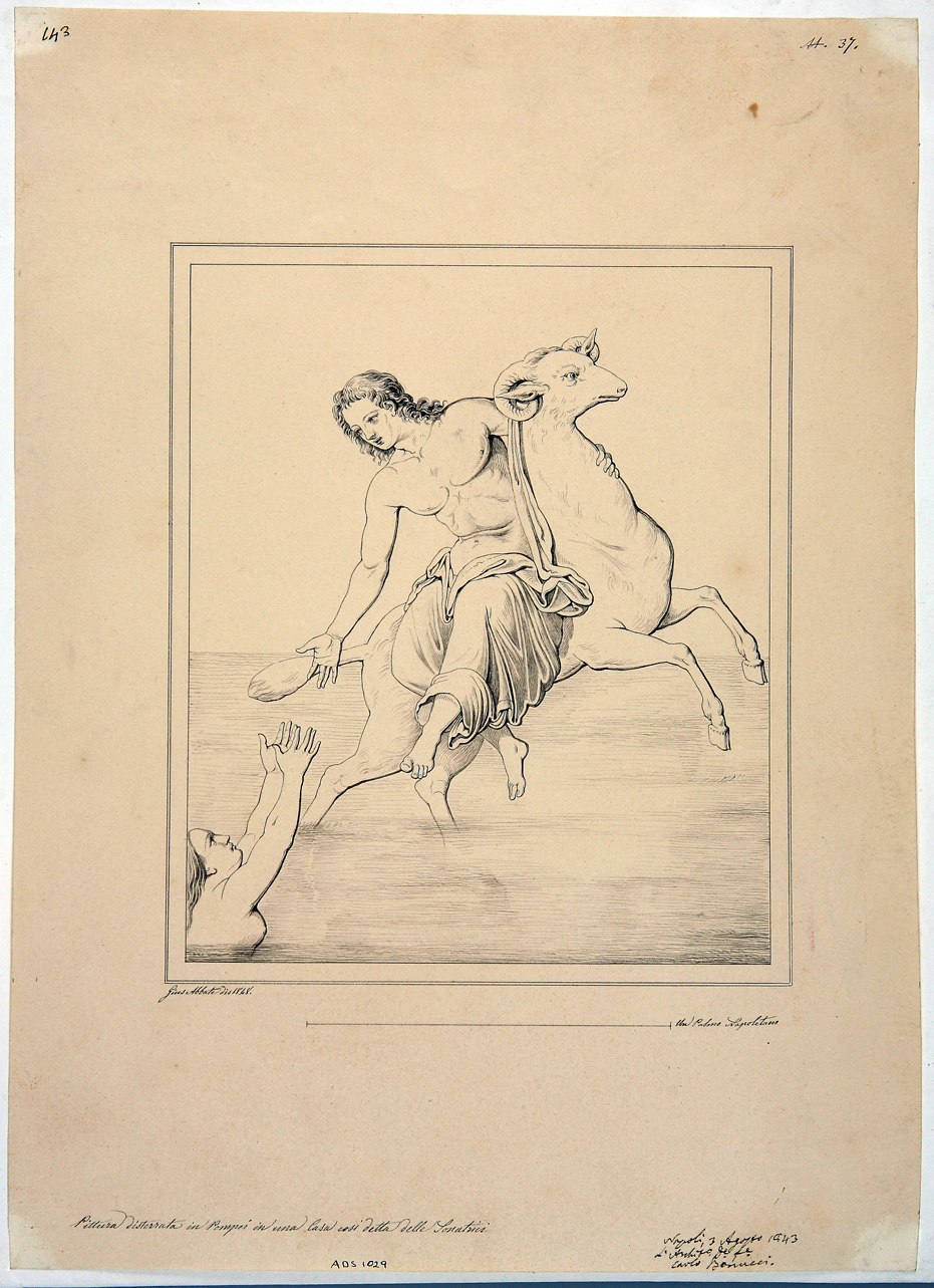 Frisso ed Elle (disegno) di Abbate Giuseppe (secondo quarto sec. XIX)