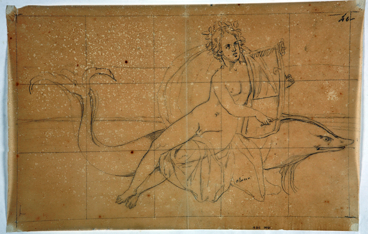 Arion su delfino (disegno) di Marsigli Giuseppe (prima metà sec. XIX)