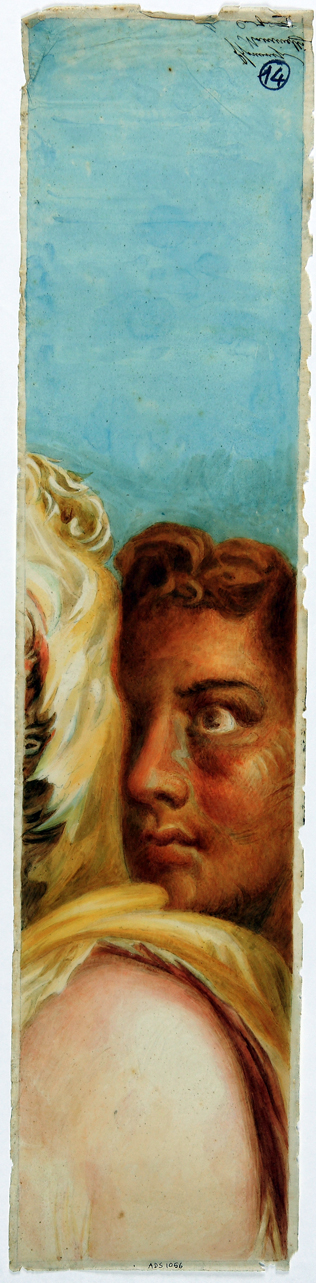 volto (disegno) di Mastracchio Michele (secondo quarto sec. XIX)