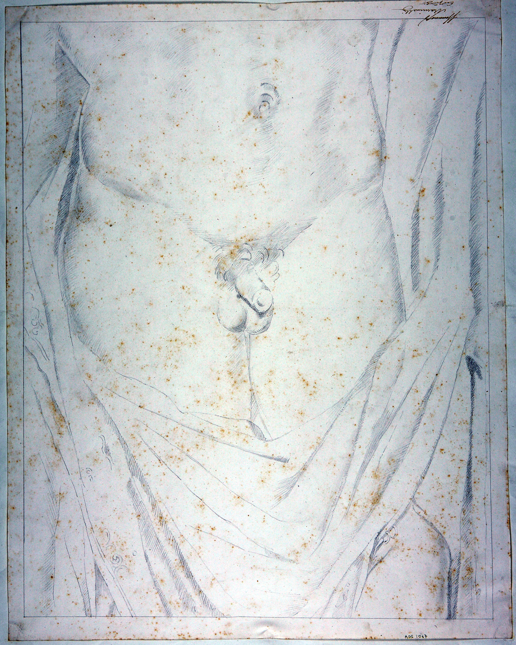 torso di Eracle (disegno) di Mastracchio Michele (secondo quarto sec. XIX)