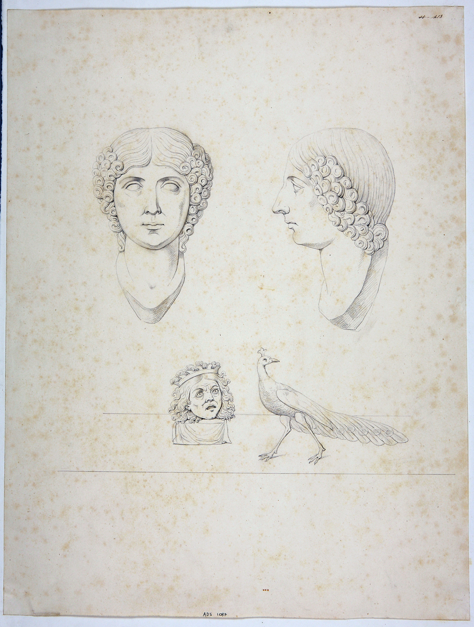 ritratto femminile (disegno) di La Volpe Nicola (seconda metà sec. XIX)
