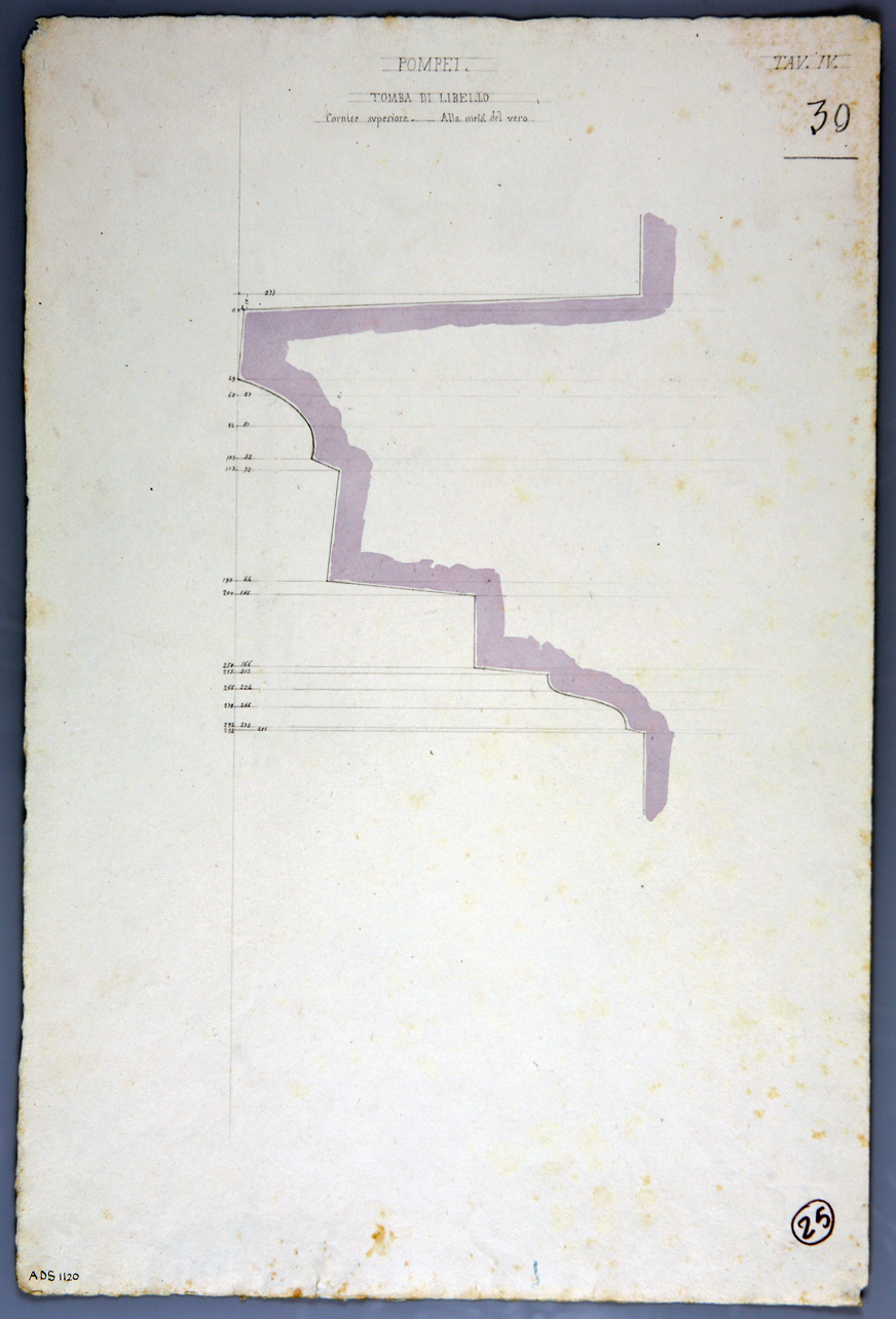 cornice (disegno) di Veneri Pasquale Maria (secondo quarto sec. XIX)