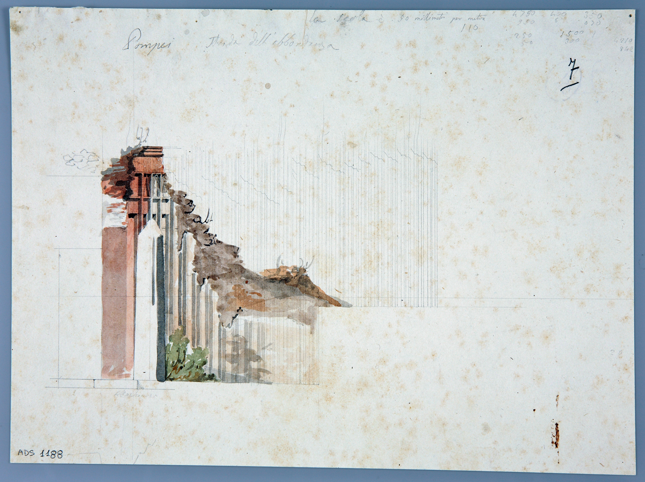parete di edificio (disegno) di Veneri Pasquale Maria (prima metà sec. XIX)
