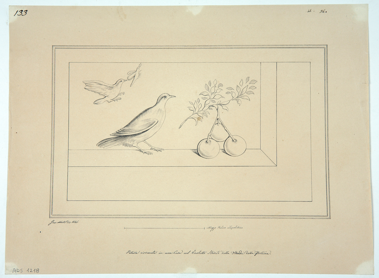 natura viva (disegno) di Abbate Giuseppe (secondo quarto sec. XIX)