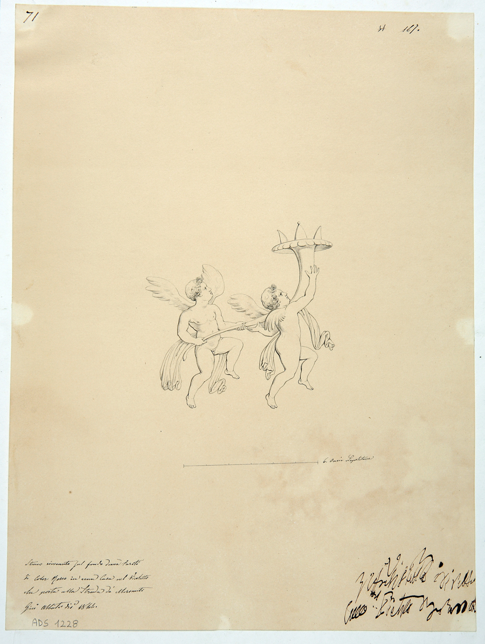 amorini con cornucopia (disegno) di Abbate Giuseppe (secondo quarto sec. XIX)