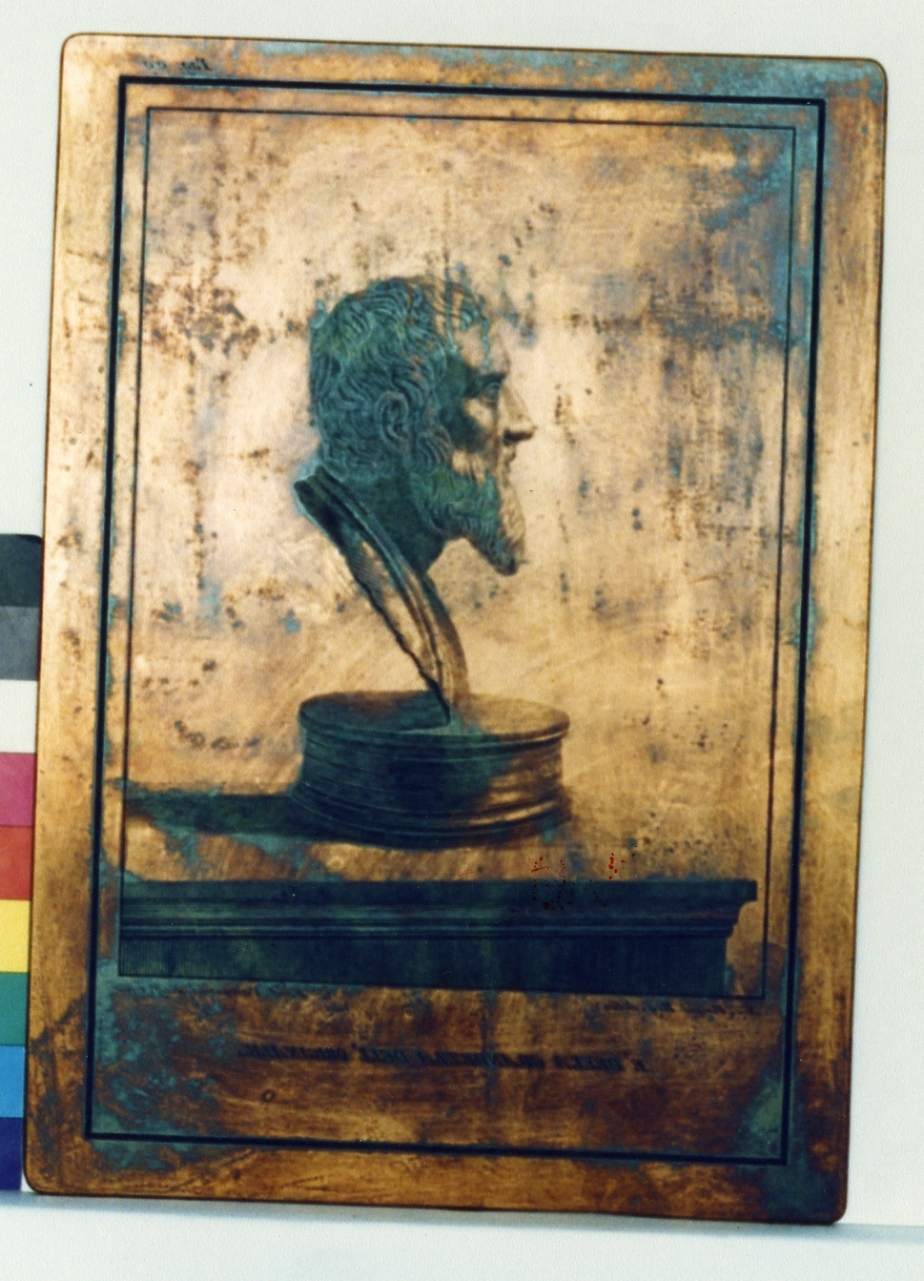 busto di Zenone: profilo (matrice) di Campana Ferdinando, Vanni Nicola (sec. XVIII)