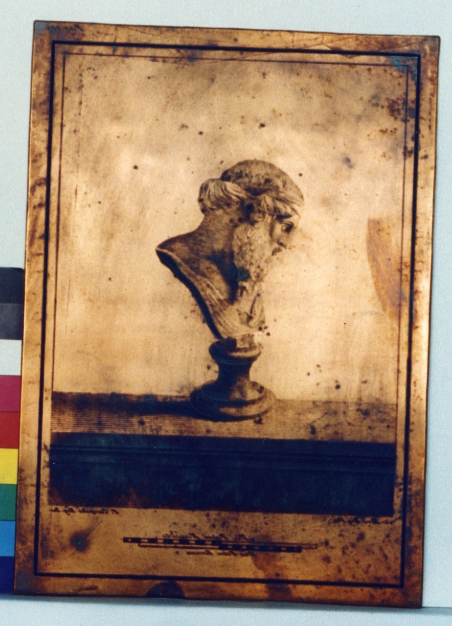 busto virile: profilo (matrice) di Morghen Giovanni Elia, Campana Pietro (sec. XVIII)