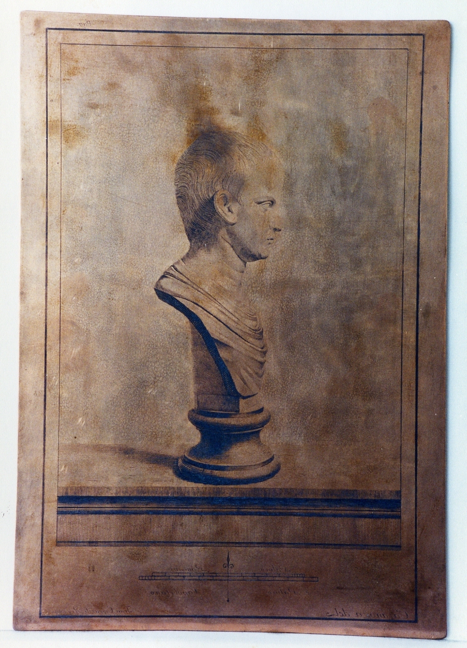busto virile: profilo (matrice) di Casanova Giovanni Battista, Cepparoli Francesco (sec. XVIII)