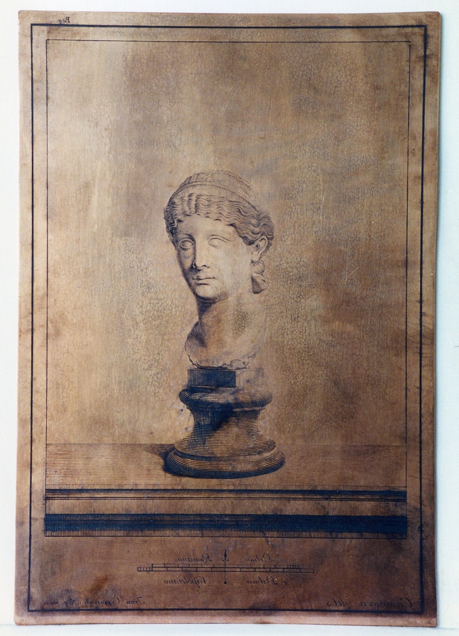 testa muliebre (matrice) di Casanova Giovanni Battista, Cepparoli Francesco (sec. XVIII)