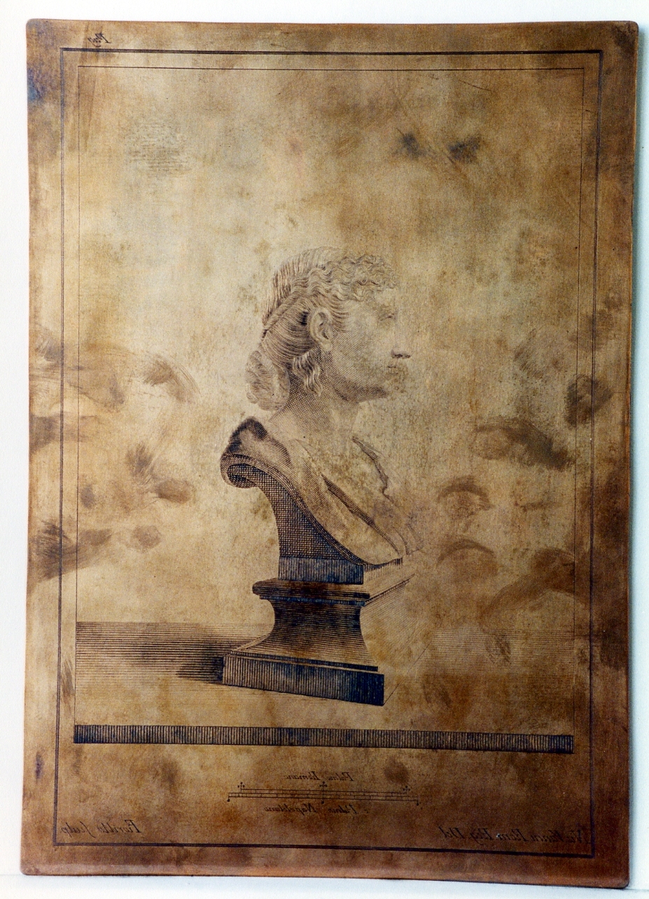 busto femminile: profilo (matrice) di Vanni Nicola, Fiorillo Nicola (sec. XVIII)