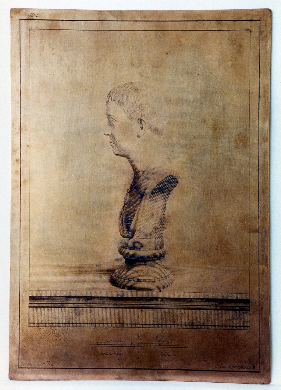 busto di fanciullo: profilo (matrice) di Casanova Giovanni Battista, Fiorillo Nicola (sec. XVIII)