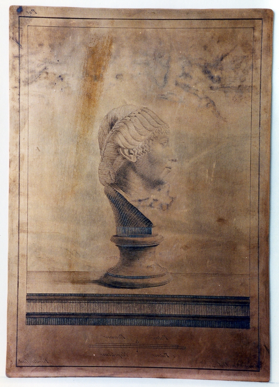 testa-ritratto femminile: profilo (matrice) di Casanova Giovanni Battista, Fiorillo Nicola (sec. XVIII)