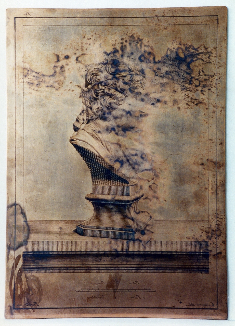 probabile busto di dinasta: profilo (matrice) di Fiorillo Nicola, Casanova Giovanni Battista (sec. XVIII)