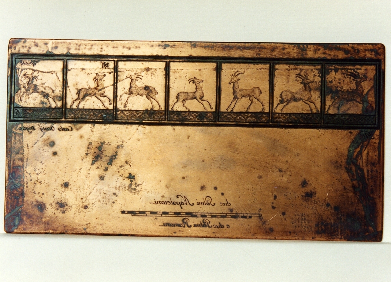sette pannelli con motivi decorativi con capre (matrice) di Morghen Giovanni Elia, Orazi Carlo (sec. XVIII)